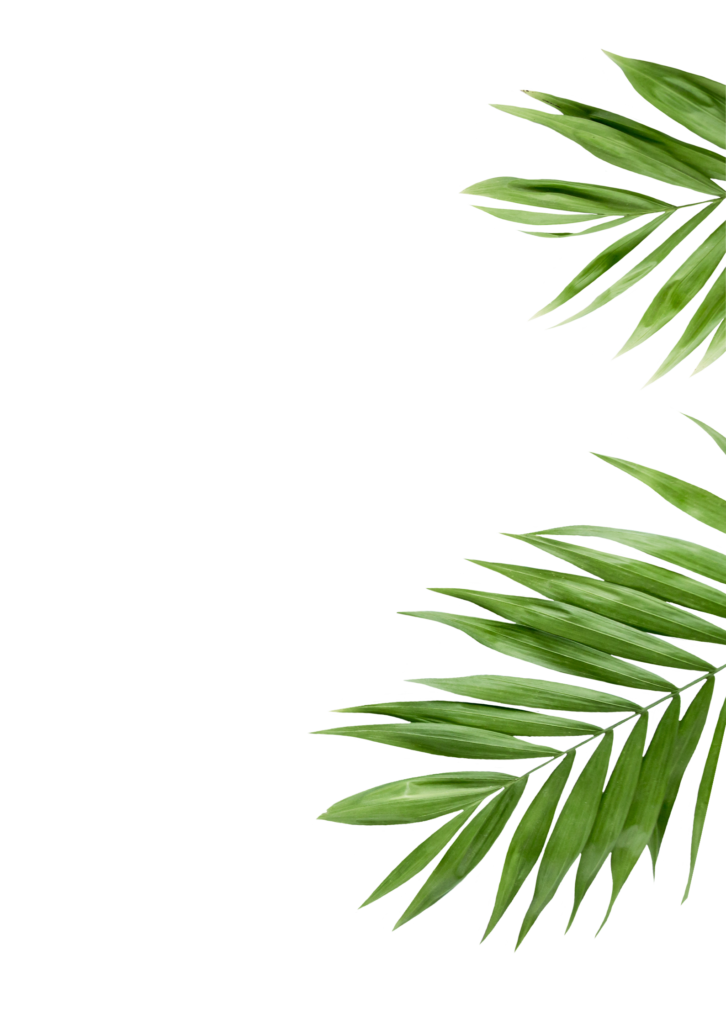 Reyuve Naturkosmetik Blätter